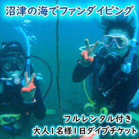 【ふるさと納税】 ファン ダイビング チケット 大人 1名 1日 2ビーチ ダイブ フルレンタル 込み 伊豆半島 アクティビティ マリンスポーツ スキューバダイビング 体験 初心者 海 ツアー 観光 レジャー 沼津市 静岡県