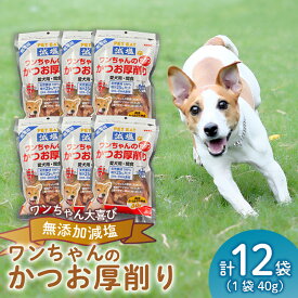 【ふるさと納税】 犬 エサ 無添加 減塩 かつお節 厚削り 480g カツオ 鰹 小分け パック ペットフード ドッグフード たんぱく質 カルシウム 国産 健康 おやつ 高タンパク 犬用 おいしい 人気 栄養 バランス 犬の餌 沼津市 静岡県
