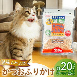 yӂ邳Ɣ[Łz L GT Y Y    ӂ肩  pbN 25g×20 v500g lR ˂ Lp ybgt[h Lbgt[h   h{ N L L VR lC 