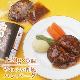 【ふるさと納税】 手作り やわらか クラフト ハンバーグ 120g × 5個 ソース付 無添加 国産 野菜 たっぷり 低カロリー 家族へのこだわり惣菜