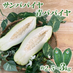 yӂ邳Ɣ[Łz \񒍕 2025N9{ T ppC  ppC  2.5 kg - 3 kg yf  ʕ t[c ppCA H@ _CGbg e O[ppC \^ Îs É