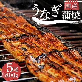 【ふるさと納税】 丑の日 対応 うなぎ 蒲焼 国産 鰻 5尾 800g 真空 小分け 丑の日 沼津 うなよし