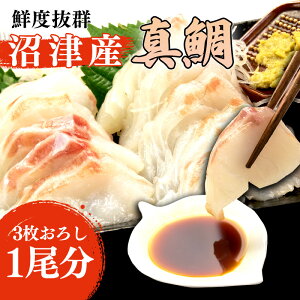 yӂ邳Ɣ[Łz ^ hg hg 3낵 ÎY 500g 700g 1 ^pbN N CN   ^C hgp NxQ  p Mtg  Ε ܂ ◿  VN 
