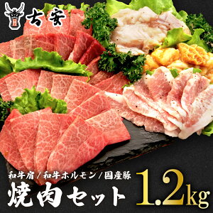 yӂ邳Ɣ[Łz ē Zbg 1.2kg e 300g a  z gg   X  o[xL[ È BBQ Y Y Mtg 蕨 v[g Hה Ƒ p[eB[  