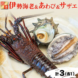 楽天市場 ふるさと納税 伊勢海老の通販