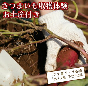 yӂ邳Ɣ[Łz ܂x yYt ǂ eq  ˓c Gy_ yCƎRɈ܂ꂽ ˓c ̌b@Nz n ň ̌  ܂ @ vo ό 