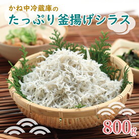 【ふるさと納税】 しらす たっぷり 釜揚げシラス 800g しらす干し シラス干し 国産 白魚 シラス丼 新鮮 美味しい おつまみ 朝食 おかず 海鮮 魚介 鮮魚 水産加工品 グルメ 食品 沼津市 静岡県