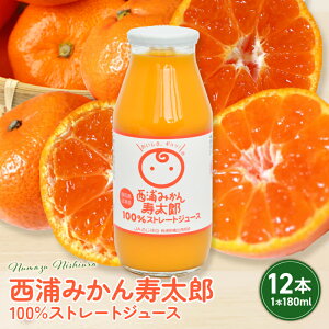 yӂ邳Ɣ[Łz Y ݂ 100% Xg[g W[X 180ml × 12{ | Y ܂ k W[X 蕨 j v[g Îs É