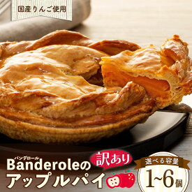【ふるさと納税】 訳あり アップルパイ 選べる 容量 1個 3個 5個 6個 5,000円 5000 国産 りんご 洋菓子 パイ ケーキ 工場直売 母の日 クリスマス デザート お菓子 おやつ 焼き菓子 お祝い 贈り物 ギフト 誕生日 記念日 プレゼント フルーツ リンゴ 人気 沼津市 静岡県