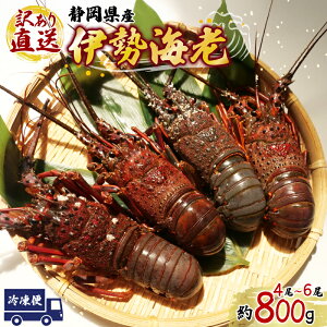 �y�ӂ邳�Ɣ[�Łz �ɐ��C�V �󂠂� 4�� �` 6�� �� �v 800g ���� ���� ��������Ƌ����g�� �É� �N��