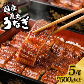 【ふるさと納税】 うなぎ 国産 蒲焼き 5尾 計約500g以上 静岡 うなぎ処京丸 鰻 ウナギ 国産うなぎ うな重 うな丼 国産鰻 冷凍 タレ 土用の丑の日 指定日配送 土用 丑の日 個包装 小分け ギフト プレゼント おいしい 贅沢 沼津市