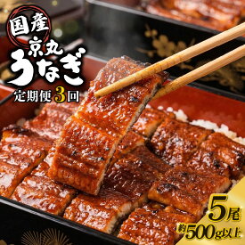 【ふるさと納税】 【3カ月定期便】うなぎ 蒲焼 国産 5尾 計約500g以上 静岡 うなぎ処京丸 蒲焼き unagi 鰻 ウナギ 国産うなぎ うなぎ蒲焼き うな重 うな丼 冷凍 土用 丑の日 定期便 個包装 小分け ギフト プレゼント おすすめ 美味しい 沼津