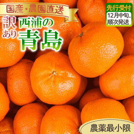 【ふるさと納税】 訳あり みかん 青島 3kg 5kg 10kg 選べる容量 | 木負観光みかん園 ミカン オレンジ 蜜柑 柑橘 フルーツ 旬 果物 国産 産地直送 季節限定 西浦 沼津市 静岡県