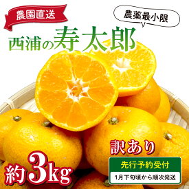 【ふるさと納税】 訳あり みかん寿太郎 3kg 減農薬 送料無料 西浦 蜜柑 柑橘 オレンジ 6000円 10000円以下 1万円以下