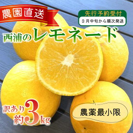 【ふるさと納税】 訳あり 西浦 レモネード 3kg みかん 柑橘 オレンジ 減農薬 木負観光みかん園 果物 ジュース 飲料 国産 フルーツ 特産品 ビタミンC 健康 美容 贈り物 ギフト 産地直送 旬 季節 果汁 自然 新鮮 沼津市 静岡県
