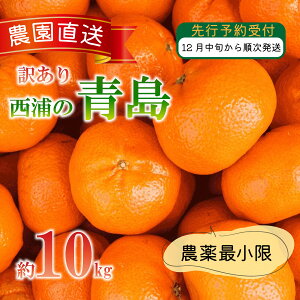 yӂ邳Ɣ[Łz 󂠂 ݂  10kg Y  k IW ؕό݂ ʌ ʕ t[c Y ~J Â p 蕨 Mtg { G ~ ʏ` r^~C Yn V