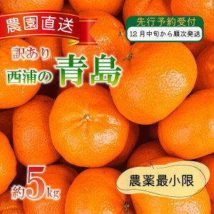 【ふるさと納税】 訳あり みかん 青島 5kg 西浦 蜜柑 柑橘 オレンジ 木負観光みかん園 数量限定 果物 フルーツ 国産 ミカン 甘い 新鮮 旬 贈り物 ギフト 産地直送 冬 ビタミンC 特産品 果汁 柑