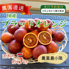 【ふるさと納税】 訳あり 西浦 国産 ブラッドオレンジ 5kg 柑橘 果物 フルーツ 贈答品 ギフト 季節限定 特産品 みかん 果汁 デザート 産地直送 農家直送 みかん園 木負観光みかん園 沼津市 静岡県