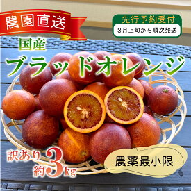 【ふるさと納税】 訳あり 西浦 国産 ブラッドオレンジ 3kg 柑橘 木負観光みかん園 フルーツ 果物 みかん ブラッドオレンジジュース 生食 ビタミンC 抗酸化作用 アントシアニン 果汁 産地直送 特産品 農家 沼津市 静岡県
