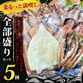 【ふるさと納税】 沼津 ひもの 5種 12枚 セット 真空パック 真アジ 真ほっけ さば半身 するめいか 真いわし 干物 詰め合わせ 魚介類 海産物 おつまみ おかず 贈り物 ギフト プレゼント 贅沢 高級 おいしい 美味しい 人気 絶品 沼津市 静岡県