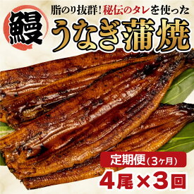 【ふるさと納税】 定期便 3ヶ月 うなぎ 蒲焼き 鰻 4尾 中国産 約550g 3回 まるが水産 脂ノリ抜群 指定日可