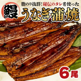 【ふるさと納税】 うなぎ 蒲焼き 6尾 中国産 鰻 蒲焼 ひつまぶし うな重 うな丼 静岡 まるが水産 指定日可