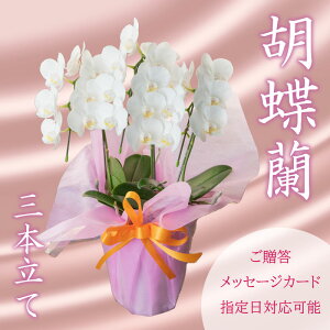 yӂ邳Ɣ[Łz Ӓ 3  p Mtg LO j ̓ ̓ hV̓ NސE v[g t[  m ؂₩   sN ϗtA CeA  Îs 
