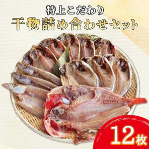 yӂ邳Ɣ[Łz    lߍ킹Zbg 12 CY Mtg v[g i 蕨  ܂  Y AW J}X G{_C L_C 傫  É 