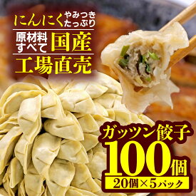 【ふるさと納税】 餃子 にんにく 100個 20個 5パック ジューシー 冷凍 個分け ガッツン餃子 松福 国産 豚肉 おつまみ