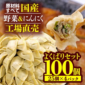 【ふるさと納税】 餃子 野菜 にんにく 100個 25個 4パック ジューシー セット ハーフ 冷凍 個分け ガッツン餃子 松福 国産 豚肉 おつまみ