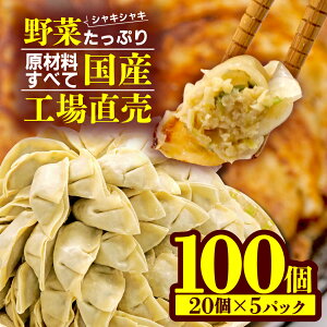 yӂ邳Ɣ[Łz Lq  100 20 × 5pbN W[V[ Ⓚ   Y ؓ ܂ Lq  傤 MEU  _S  O y ȒP  lC W