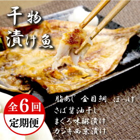 【ふるさと納税】 定期便 6回 干物 厳選 セット おまかせ 2ヶ月に一回お届け あじ 金目鯛 ほっけ さば 鯖 マグロ味醂 カジキ西京漬け ギフト 贈答用 おつまみ 惣菜 真あじ キンメダイ ホッケ サバ マグロ カジキ 西京焼き 沼津市 静岡県