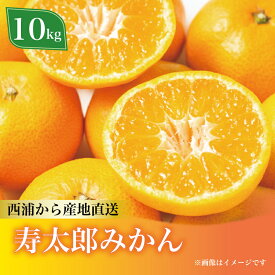 【ふるさと納税】 寿太郎 みかん 約10kg 西浦 柑橘 本格 貯蔵 熟成