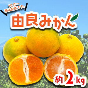 yӂ邳Ɣ[Łz R ݂ 2kg ʕ t[c Y  k IW Y a̎R B݂ p Mtg 蕨 x Â  { G H ~ Yn VN ƒp r^~