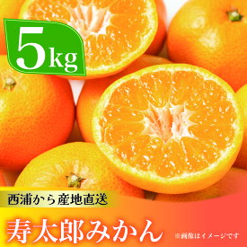 【ふるさと納税】 寿太郎 みかん 約5kg 西浦 柑橘 本格 貯蔵 熟成