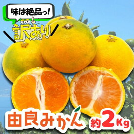 【ふるさと納税】 訳あり 由良 みかん 約2kg 果物 フルーツ 西浦 蜜柑 柑橘 オレンジ 国産