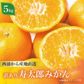 【ふるさと納税】 訳あり 寿太郎 みかん 約5kg 蜜柑 柑橘 オレンジ 果物