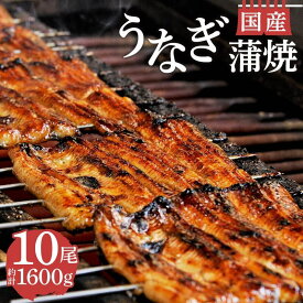 【ふるさと納税】 丑の日 対応 国産 うなぎ 蒲焼 鰻 10尾 1600g セット 真空 小分け うなよし 土用 鰻重 蒲焼き 贈り物 ギフト プレゼント グルメ 夏バテ お取り寄せ 鰻料理 国内産 ウナギ カバ焼き 沼津市 静岡県