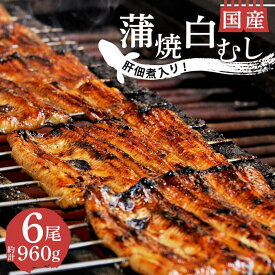 【ふるさと納税】 丑の日 対応 うなぎ 蒲焼 国産 鰻 4尾 白むし 2尾 計6尾 カット 肝 佃煮 1袋 真空 小分け 満腹 セット 丑の日 沼津 うなよし