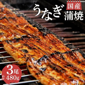 【ふるさと納税】 丑の日 対応 うなぎ 蒲焼 国産 鰻 3尾 480gセット 真空 小分け 丑の日 沼津 うなよし