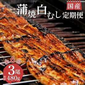 【ふるさと納税】 定期便 年 6回 うなぎ 鰻 蒲焼 国産 2尾 白むし 1尾 480g セット 真空 小分け 丑の日 沼津 うなよし