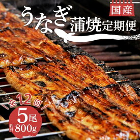 【ふるさと納税】 定期便 年 12回 うなぎ 鰻 蒲焼 国産 5尾 800g 真空 小分け 丑の日 うなよし 特産品 グルメ ギフト 贈答用 高級 土用 夏バテ防止 スタミナ料理 簡単調理 老舗 うなぎ専門店 沼津市 静岡県
