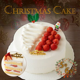 【ふるさと納税】 【クリスマス前にお届け！】 いちご の クリスマス デコレーション ケーキ 5号 6号 クリスマスケーキ 焼き菓子 菓子 スイーツ クリスマス 濃厚 静岡県 沼津市 シェ・ワタナベ