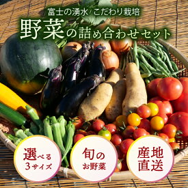 【ふるさと納税】 お野菜 詰め合わせセット 選べる3サイズ 富士山の湧水でつくる 四季の美味しい 旬 野菜 Sサイズ(4~5品)、Mサイズ(6~7品)、Lサイズ(8~10品)