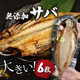 【ふるさと納税】 無添加 個包装 塩 サバ 干物 6枚 真空パック 冷凍 【 伝統技術の継承 創業 100年 ヤマショウから 自慢の干物 を お届け 】 鯖 おつまみ ヤマショウ 沼津 静岡