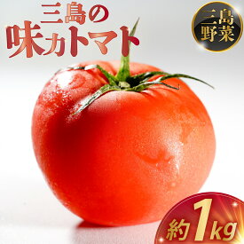 【ふるさと納税】 予約受付中 三島の味力トマト 1kg 完熟 高糖度 フルーツトマト とまと 贈答用 1万円以下 産地直送 国産 朝採れ 新鮮 甘い 美味しい 健康 サラダ ジュース 冷やしトマト 夏野菜 お取り寄せ グルメ 三島市 静岡県
