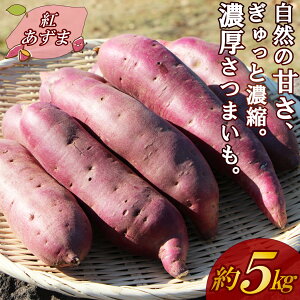 yӂ邳Ɣ[Łz y\tzOÏ 5kg g͂邩 or g ܂ Yn  ~ Ă 