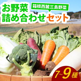 【ふるさと納税】 「箱根西麓三島野菜ブランド」 新鮮なお野菜 約7~9品 旬の野菜 新鮮 詰め合わせ セット 野菜セット 季節の野菜 三島野菜 地元産 人参 白菜 キャベツ 静岡 三島