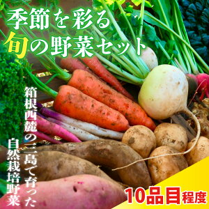 �ԗ�i�摜
