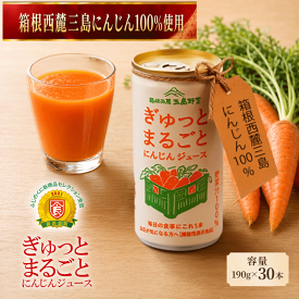 【ふるさと納税】 にんじん 100％ ジュース 190g 30本 セット 野菜ジュース 人参 箱根西麓 国産 濃厚 甘味 朝食 贈り物 ギフト 三島市 静岡県